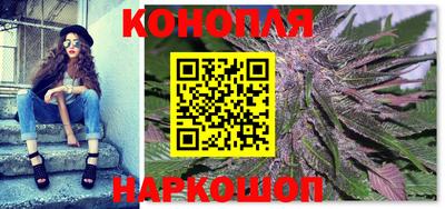 apvp Гатчина