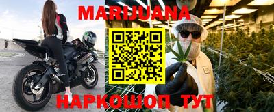 apvp Гатчина