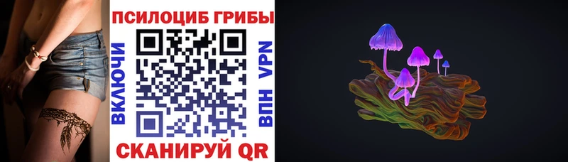 Псилоцибиновые грибы мицелий Апатиты