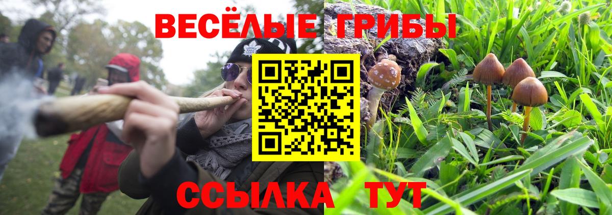 Галлюциногенные грибы Psilocybe  Вход с VPN  где найти наркотики  Псилоцибиновые грибы Psilocybe  Апатиты 