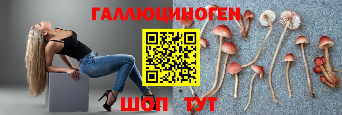 Галлюциногенные грибы GOLDEN TEACHER  Вход с VPN  Апатиты 