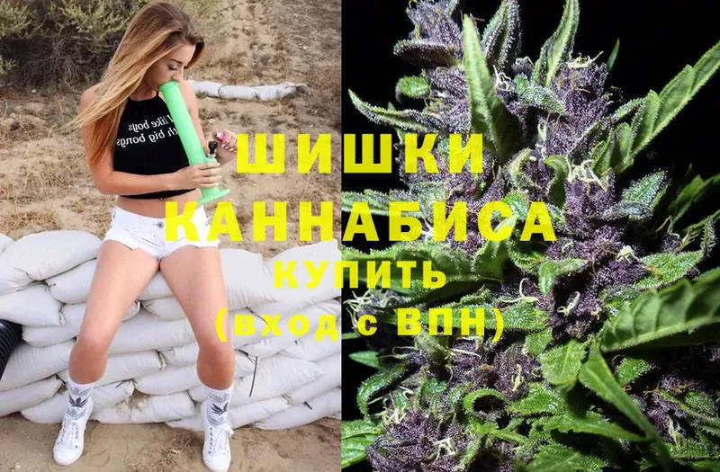 Бошки марихуана White Widow  Апатиты 